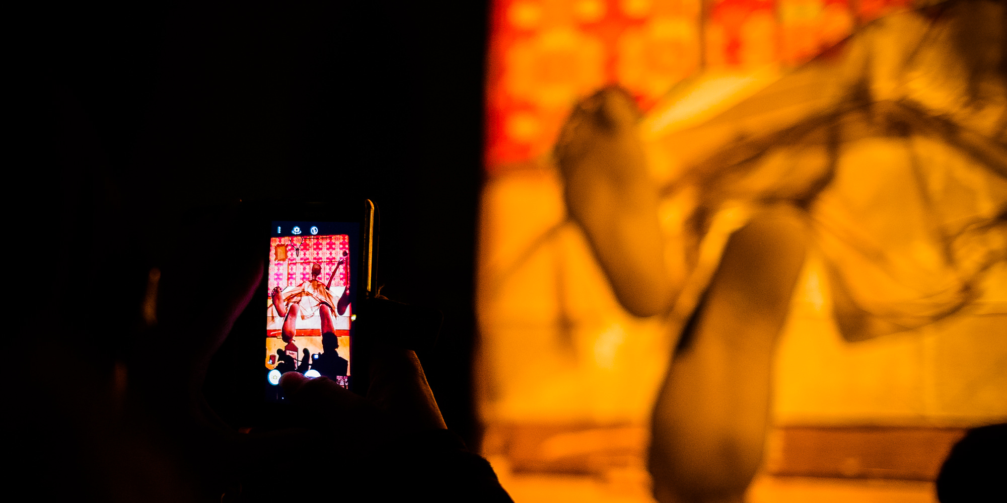 Export x3 1DX 6070 Basler Fasnacht 2016